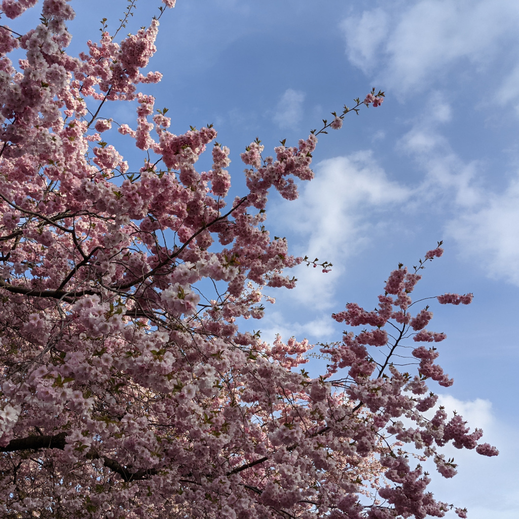 Spring cleaning 2025